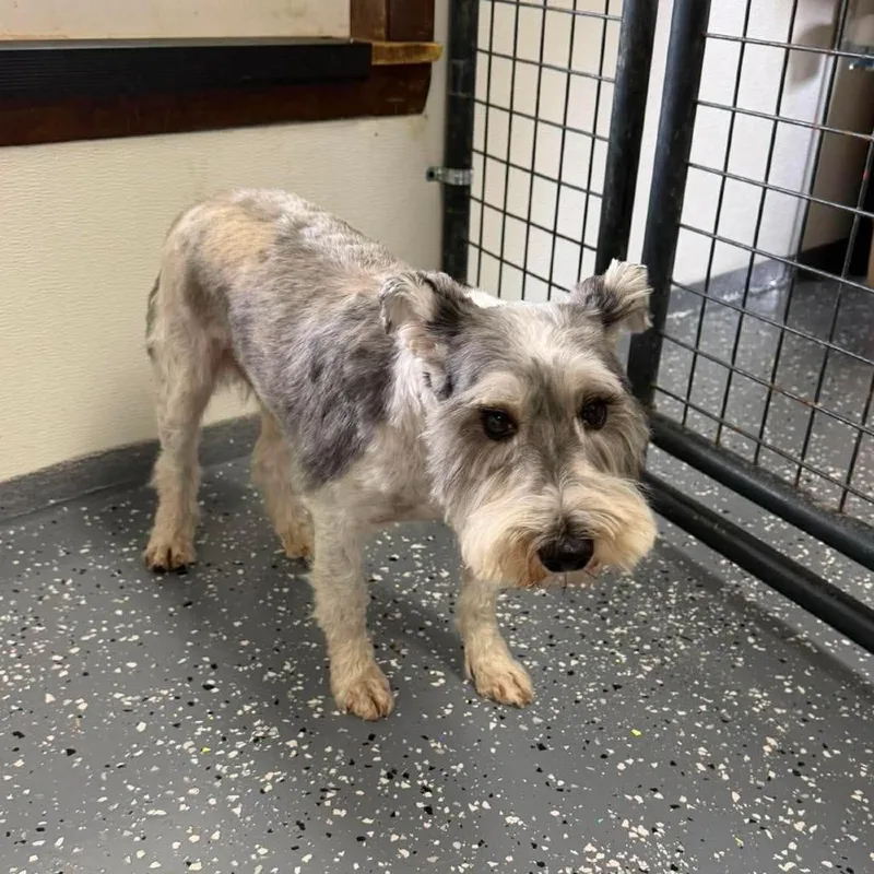Landry