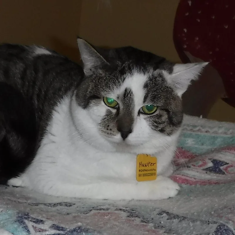 Hunter  Big Mellow thumbnail 3