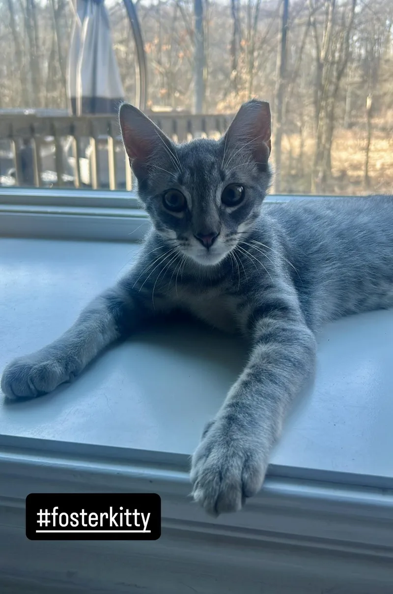 🩶carrie & Kirby!!!🩶 thumbnail 3