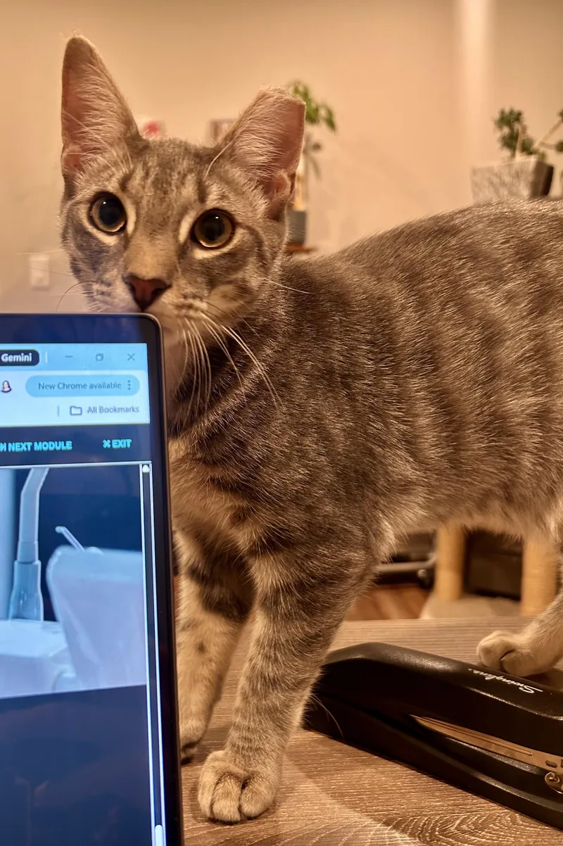 🩶carrie & Kirby!!!🩶 thumbnail 4