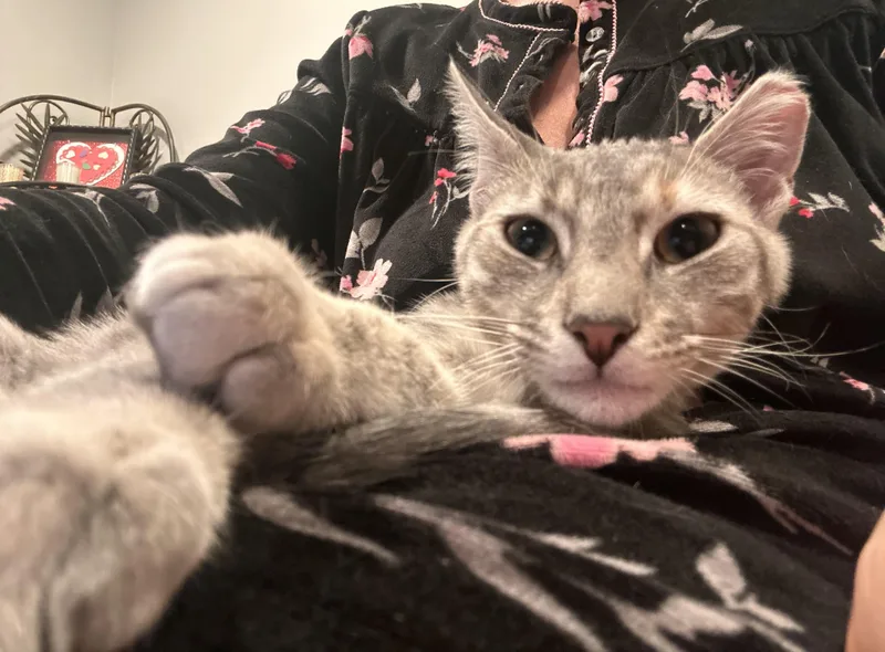 🩶carrie & Kirby!!!🩶 thumbnail 6