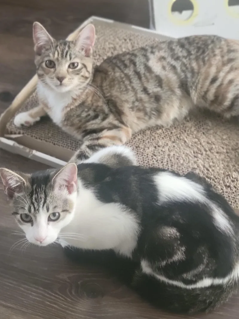 Sweet Dee thumbnail 3