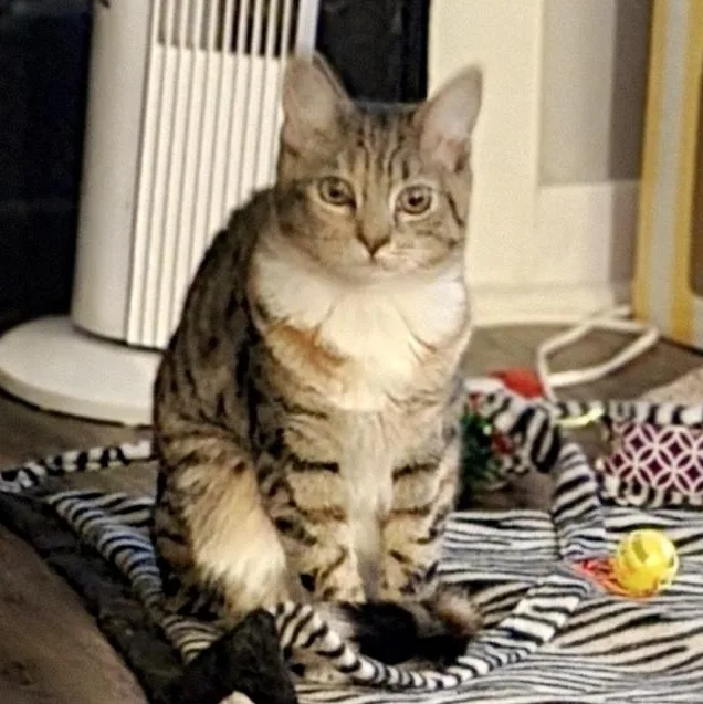 Sweet Dee thumbnail 4