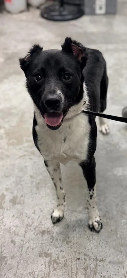 Zeus