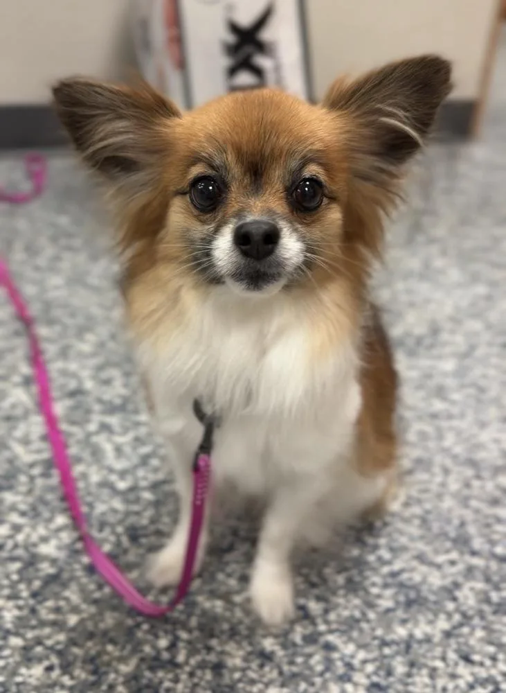 Minnie