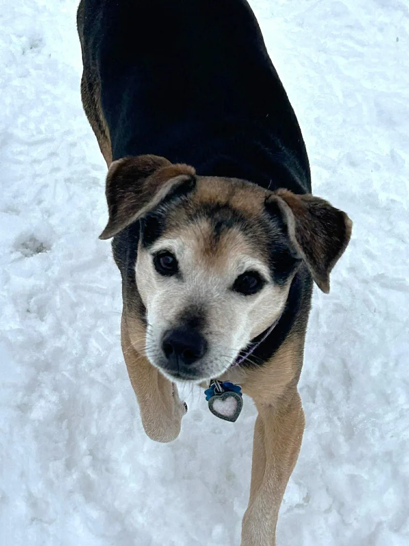 Lucy Nason thumbnail 2