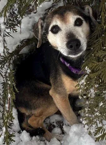 Lucy Nason thumbnail 3