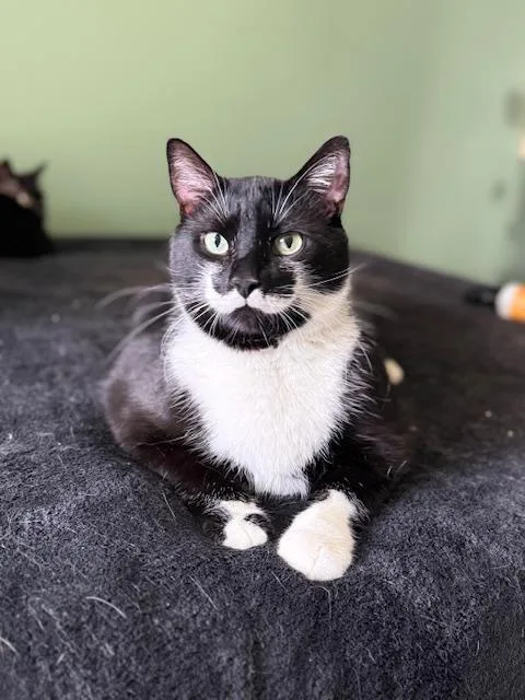 Natty Boo And Stache thumbnail 3