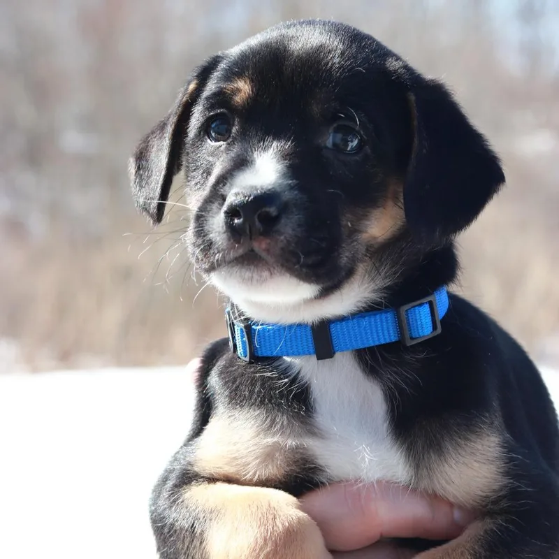 Ct Windy Avail Mar thumbnail 2