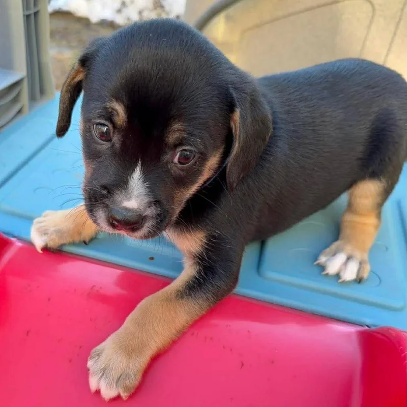 Ct Windy Avail Mar thumbnail 3