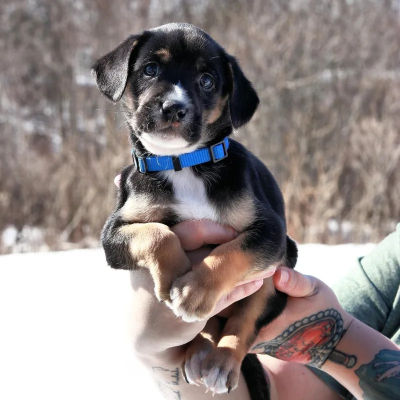 Ct Windy Avail Mar thumbnail 4