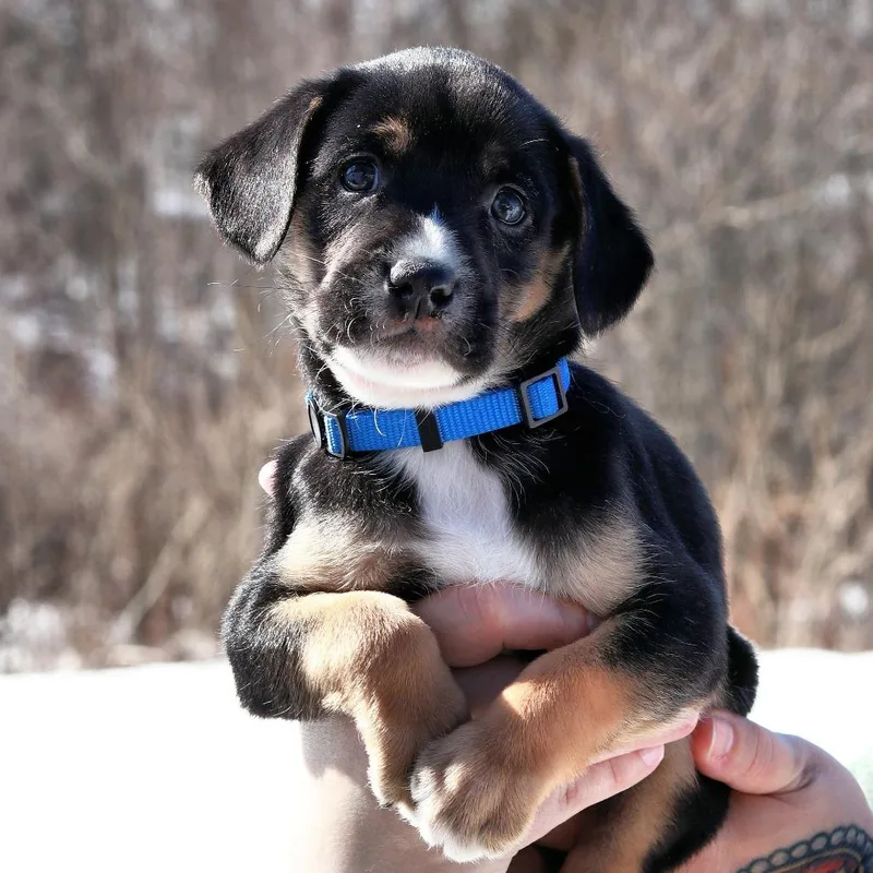 Ct Windy Avail Mar thumbnail 5