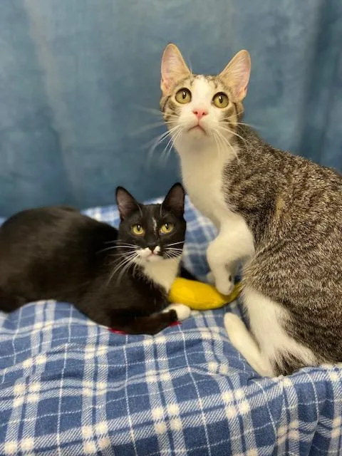 Jan & Momo thumbnail 2