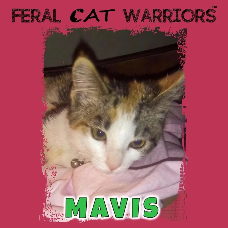 Mavis