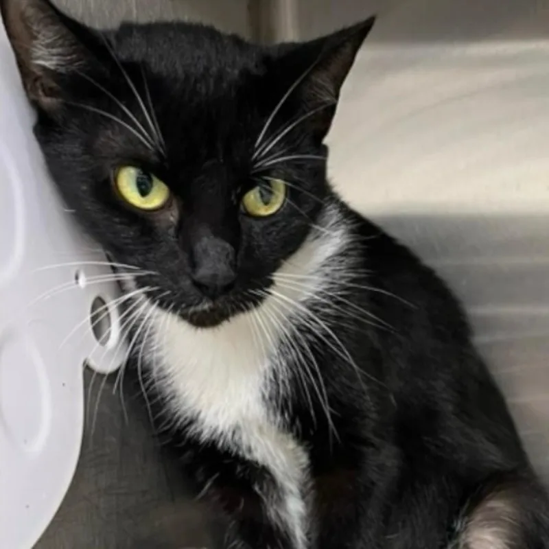 Elizabeth thumbnail 3