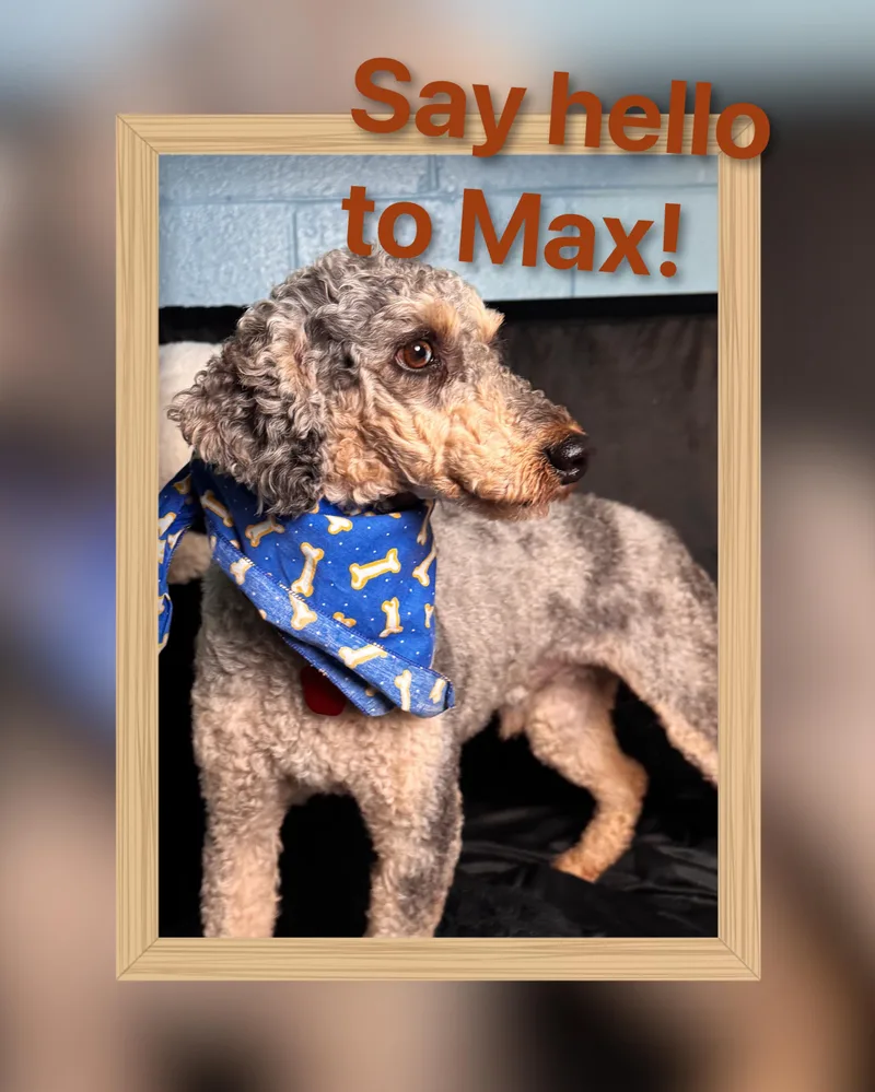 Max