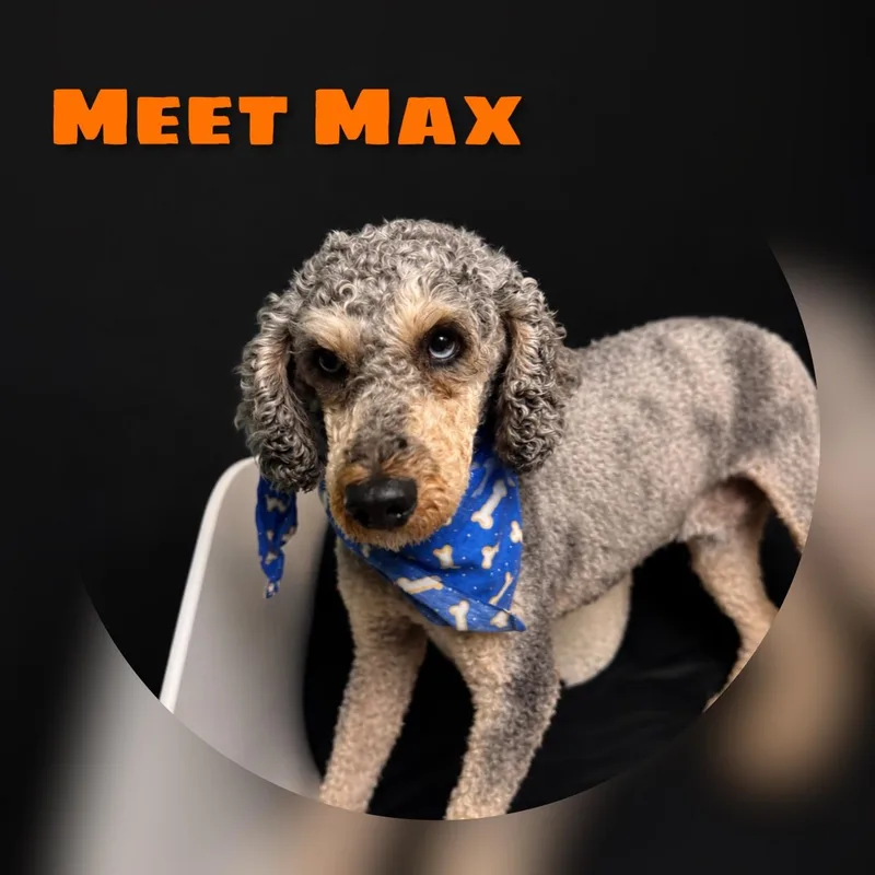 Max thumbnail 3