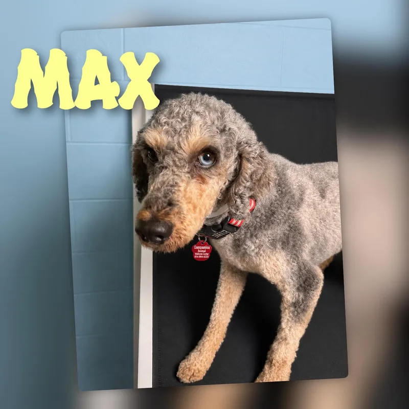 Max thumbnail 5