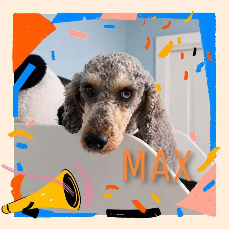 Max thumbnail 6