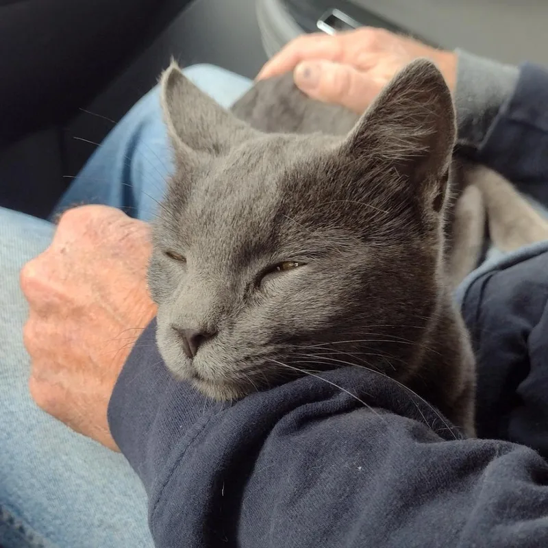 Frankie W thumbnail 3