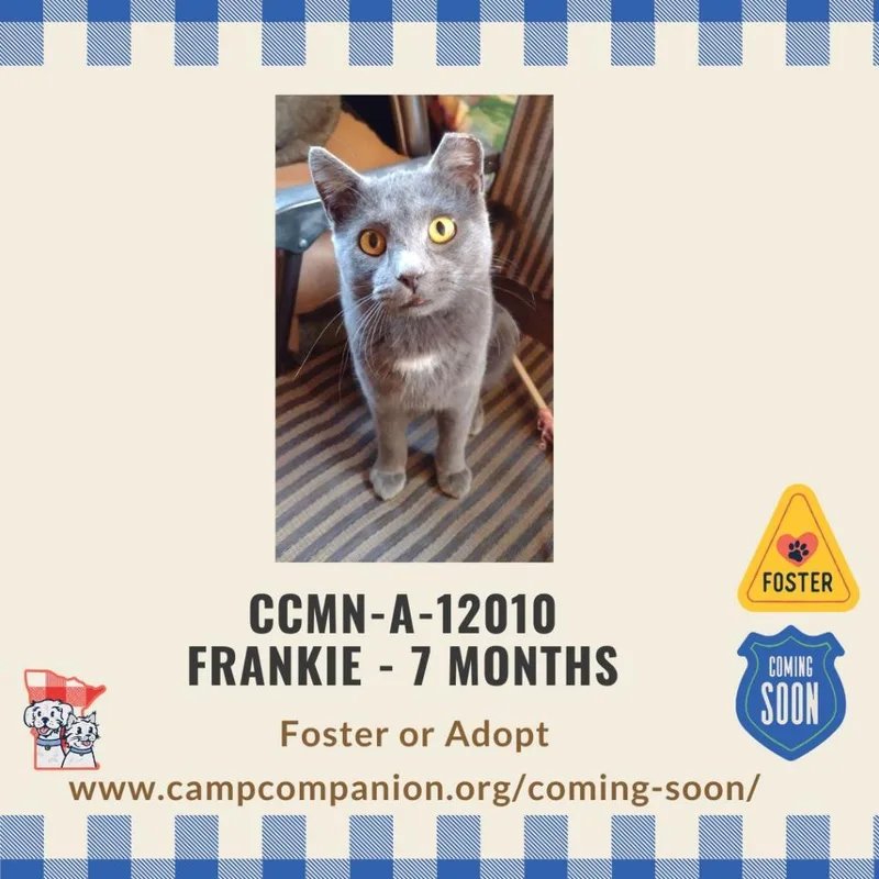 Frankie W thumbnail 4
