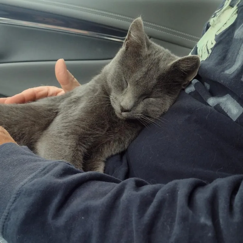 Frankie W thumbnail 5