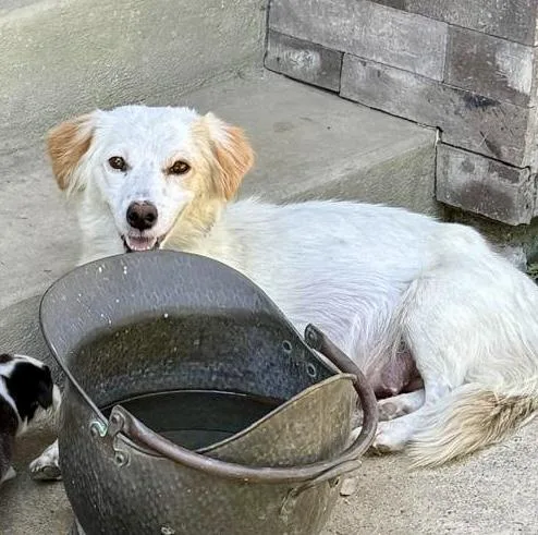 Gigi Sweet Shy thumbnail 2