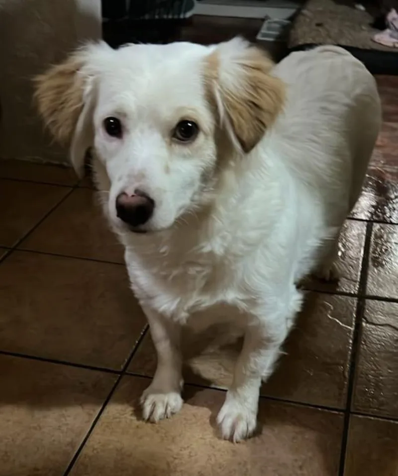 Gigi Sweet Shy thumbnail 3