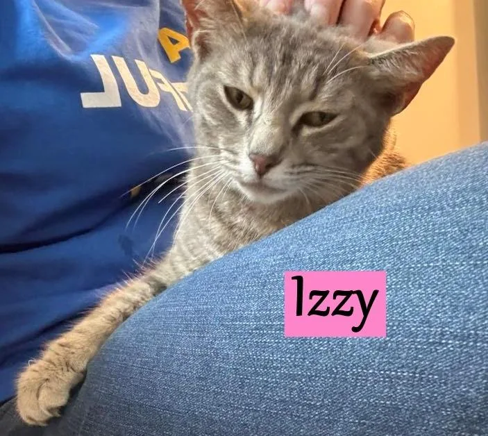 Izzy thumbnail 2