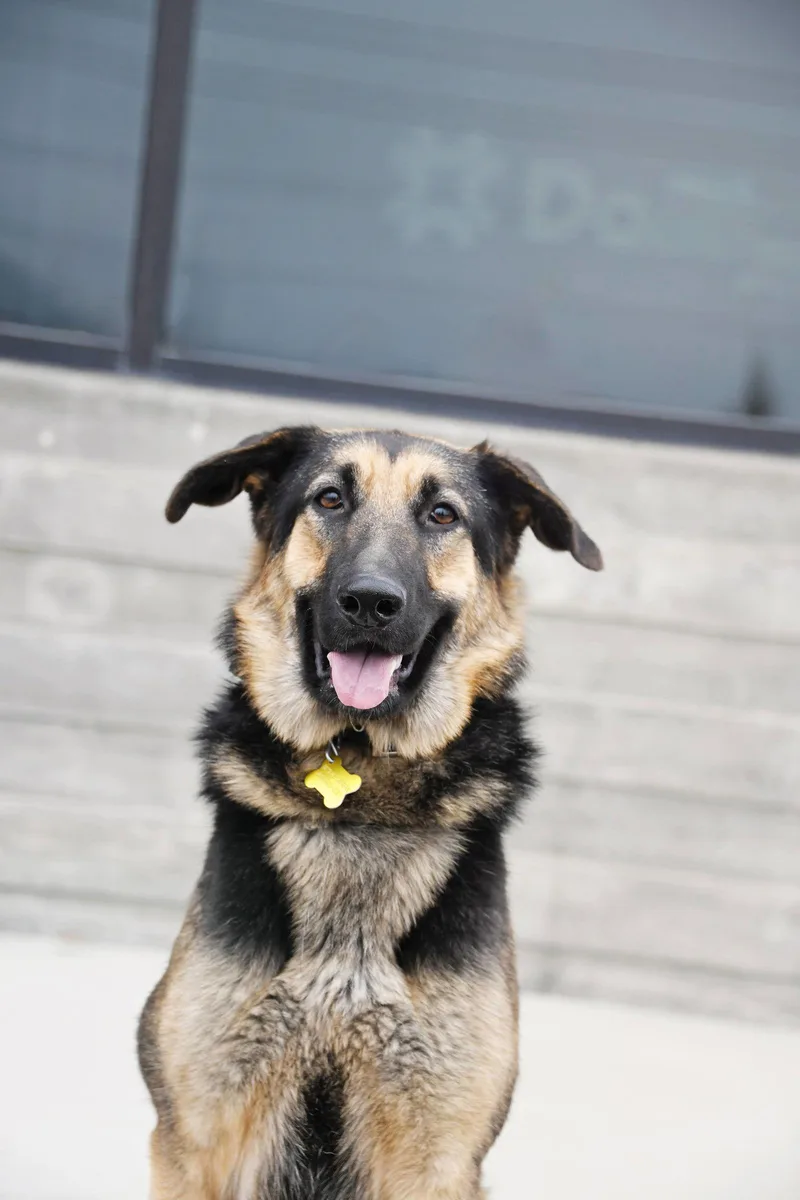 Charmin Carmen thumbnail 2