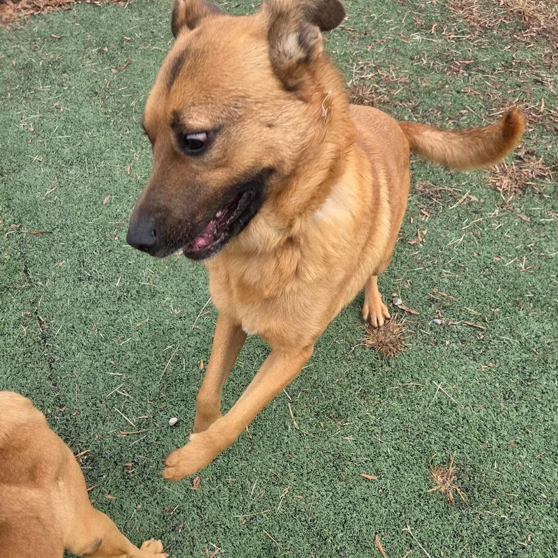 Sponge Bob thumbnail 2