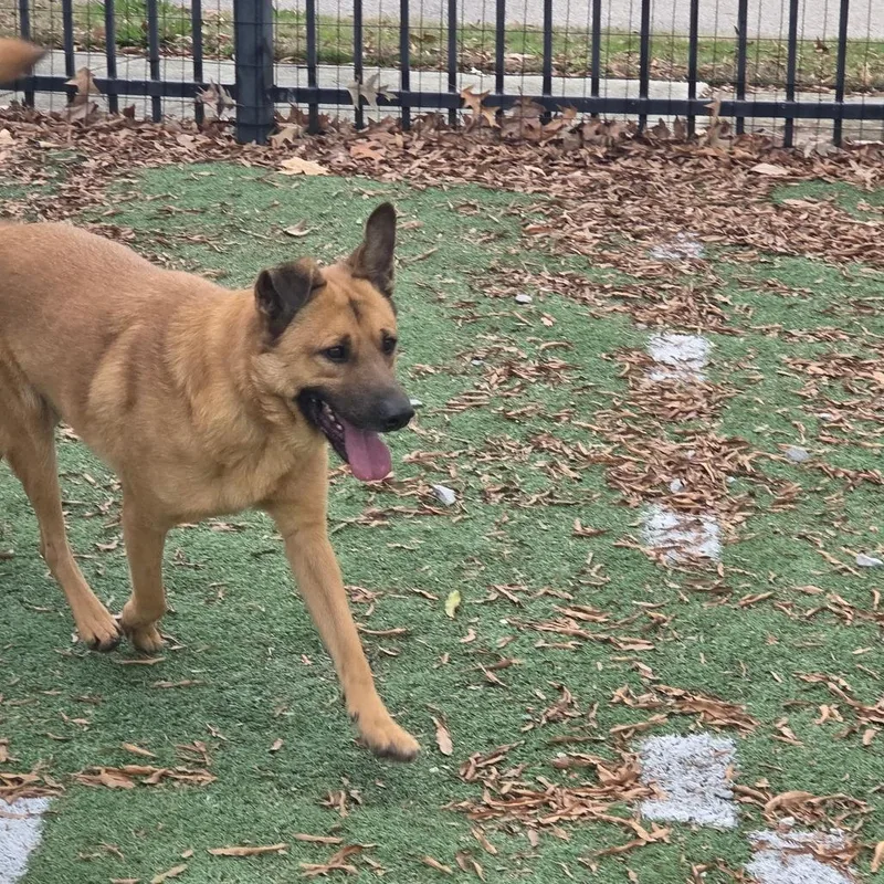 Sponge Bob thumbnail 3