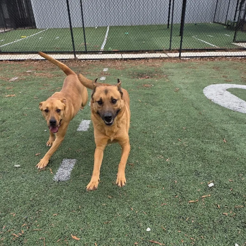 Sponge Bob thumbnail 5