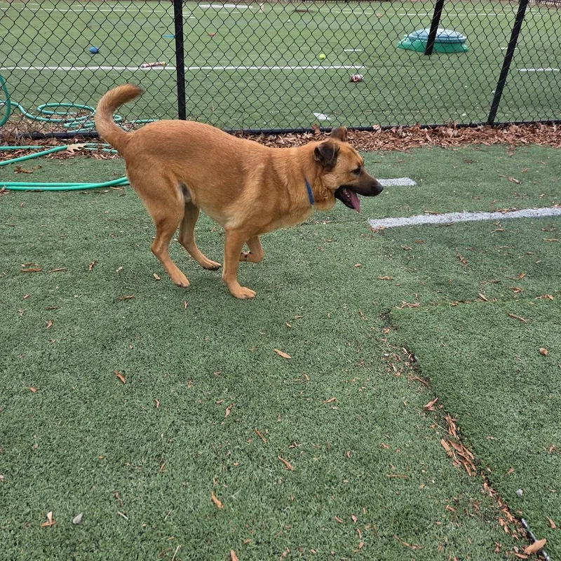 Sponge Bob thumbnail 6