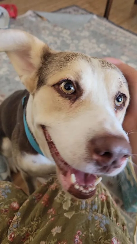 Eddie thumbnail 4