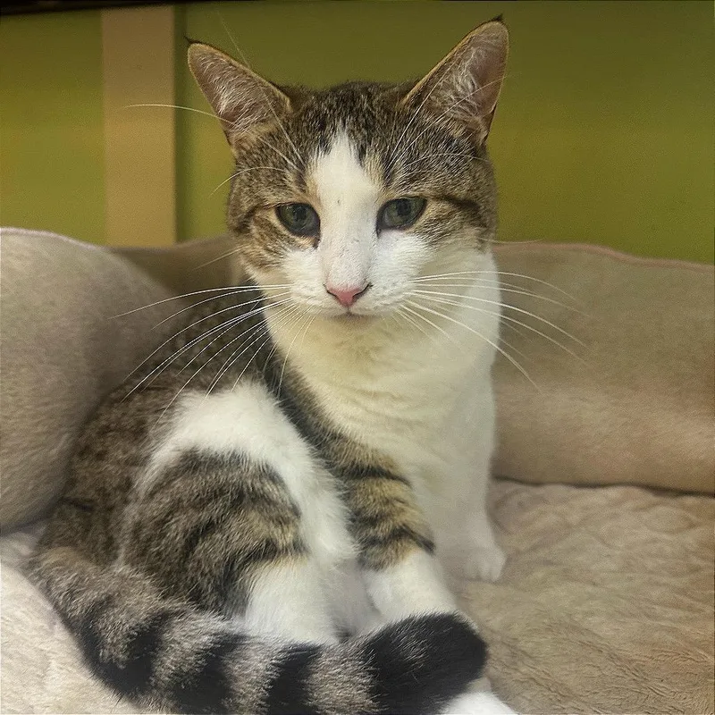 Mama Storm thumbnail 2