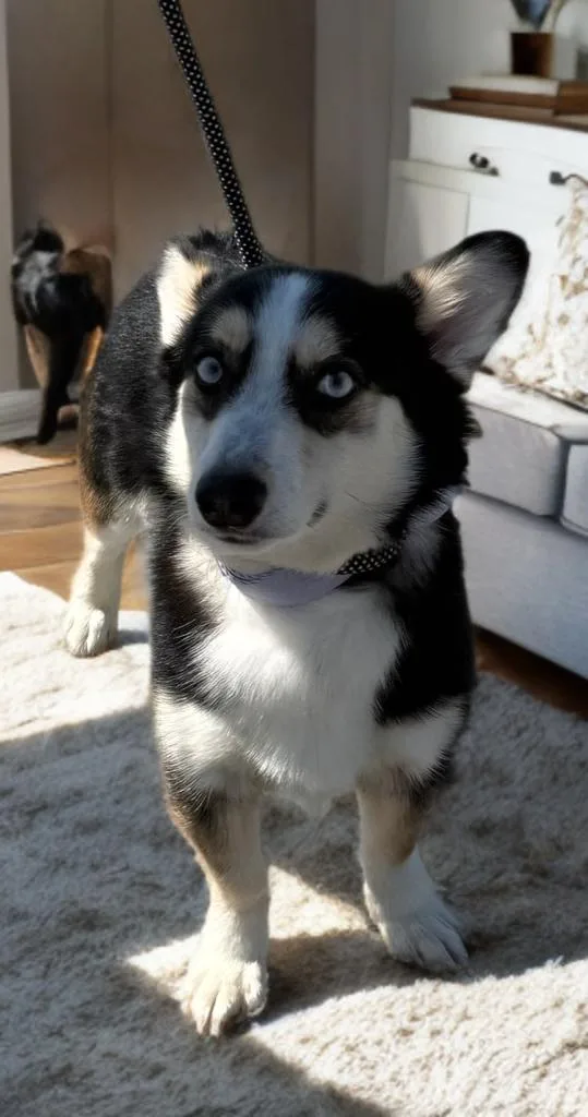 Benny