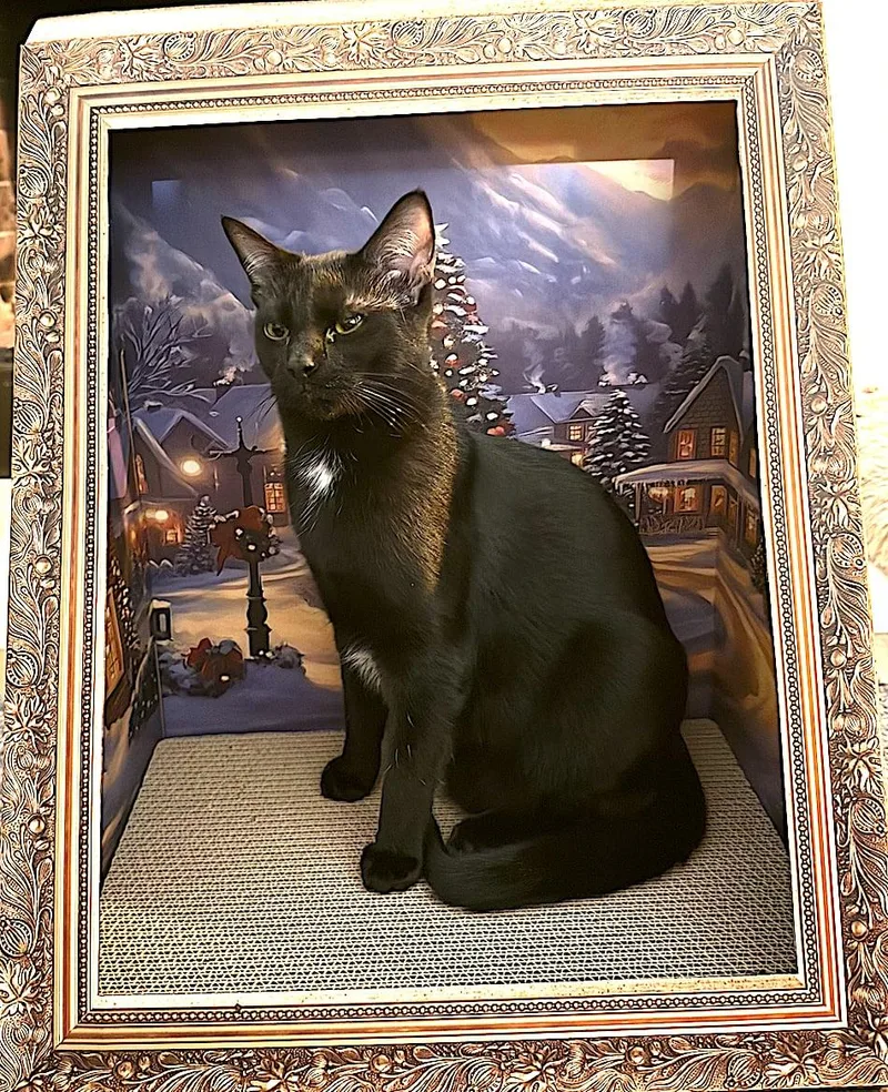 Otis Redding thumbnail 3