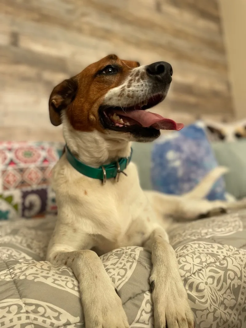 Gabbie