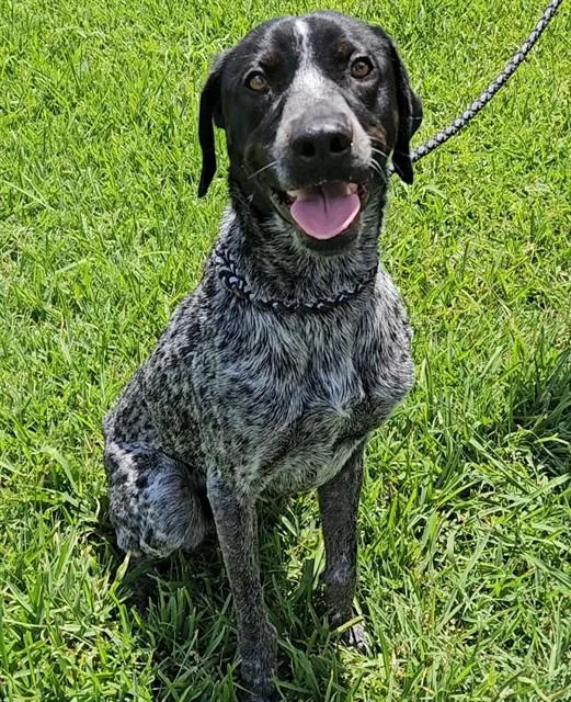 Max