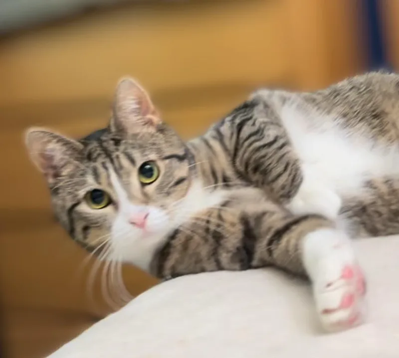 Raisinette thumbnail 2