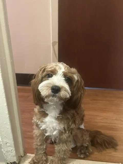 Journey thumbnail 5