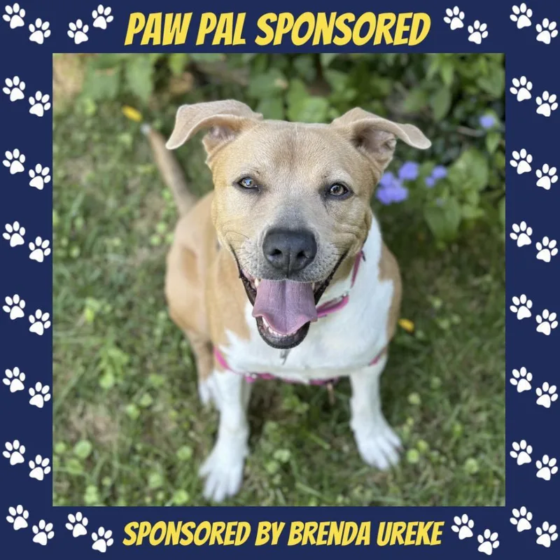 Aster Lee thumbnail 2