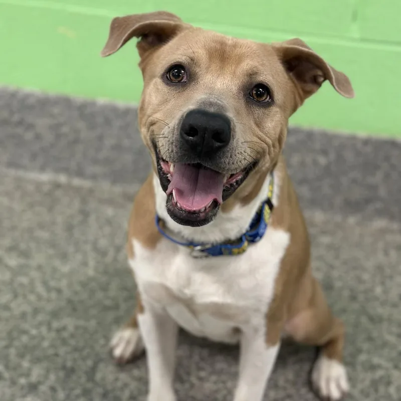 Aster Lee thumbnail 3