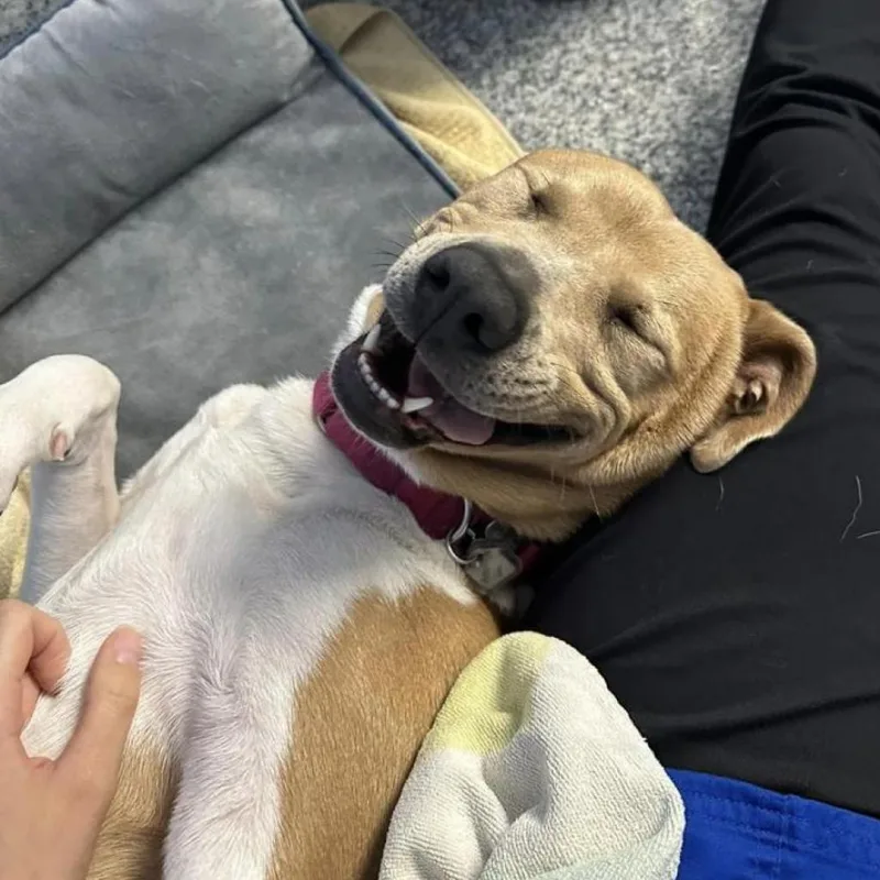 Aster Lee thumbnail 4