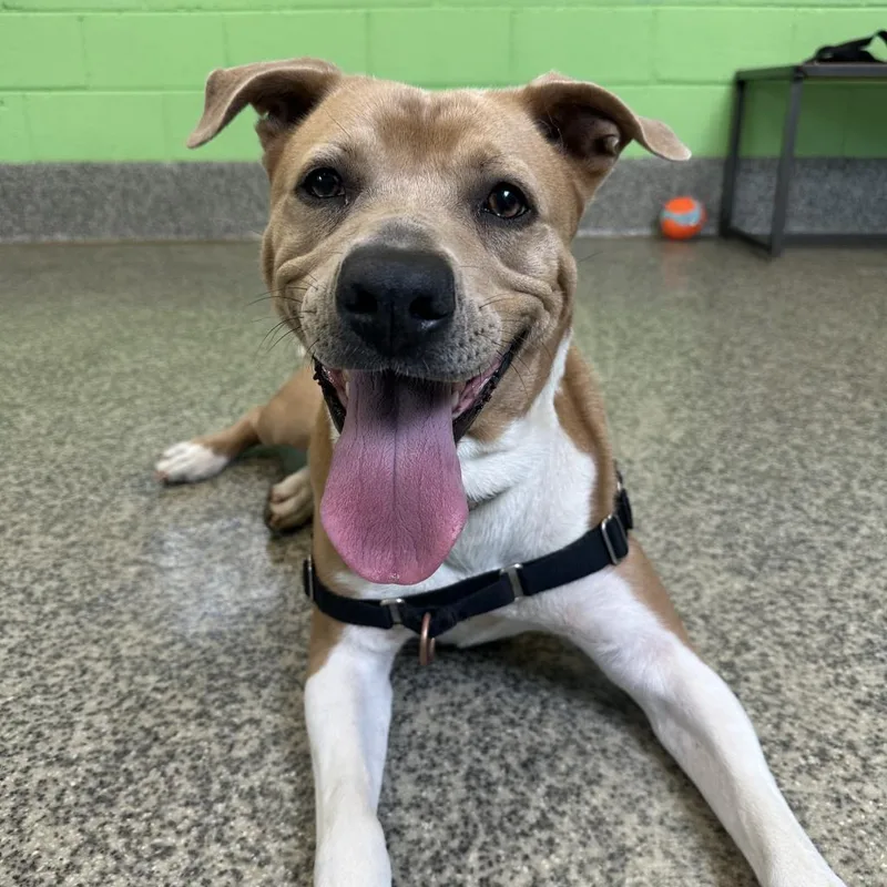 Aster Lee thumbnail 5