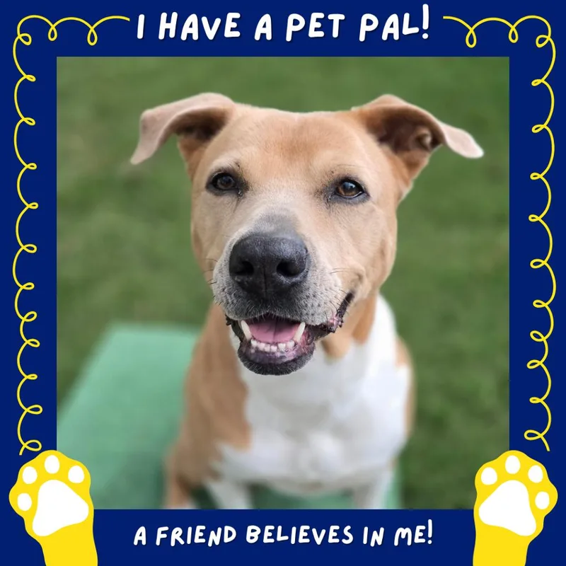 Aster Lee thumbnail 6