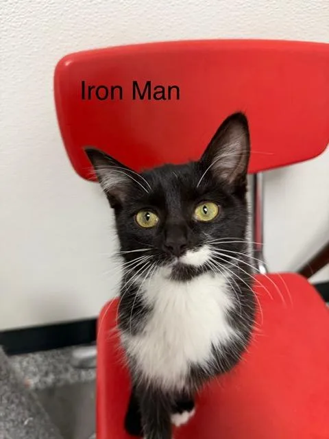 Iron Man