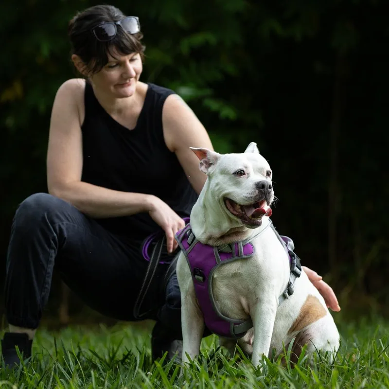 Sweety Pie thumbnail 3