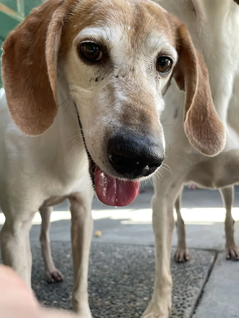 Baby Maggie thumbnail 3